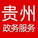 贵州政务服务网网站图标