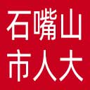 石嘴山市人大网站图标
