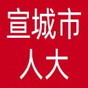 宣城市人大网站图标