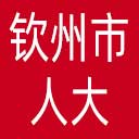 钦州市人大网站图标