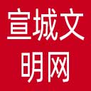 宣城文明网网站图标