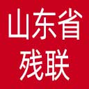 山东省残联网站图标