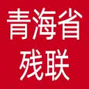青海省残联网站图标