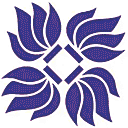 上海纽约大学网站图标
