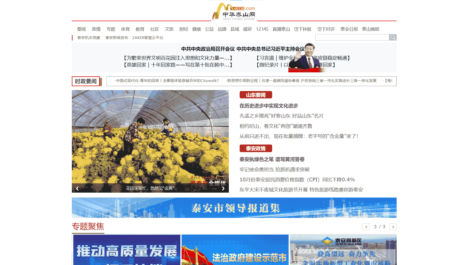 中华泰山网网站首屏快照