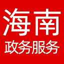 海南政务服务网网站图标