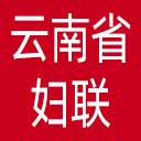 云南省妇联网站图标