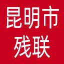 昆明市残联网站图标