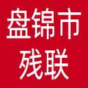 盘锦市残联网站图标