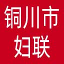 铜川市妇联网站图标