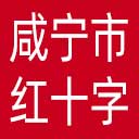 咸宁市红十字会网站图标