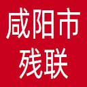 咸阳市残联网站图标