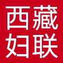 西藏妇联网站图标