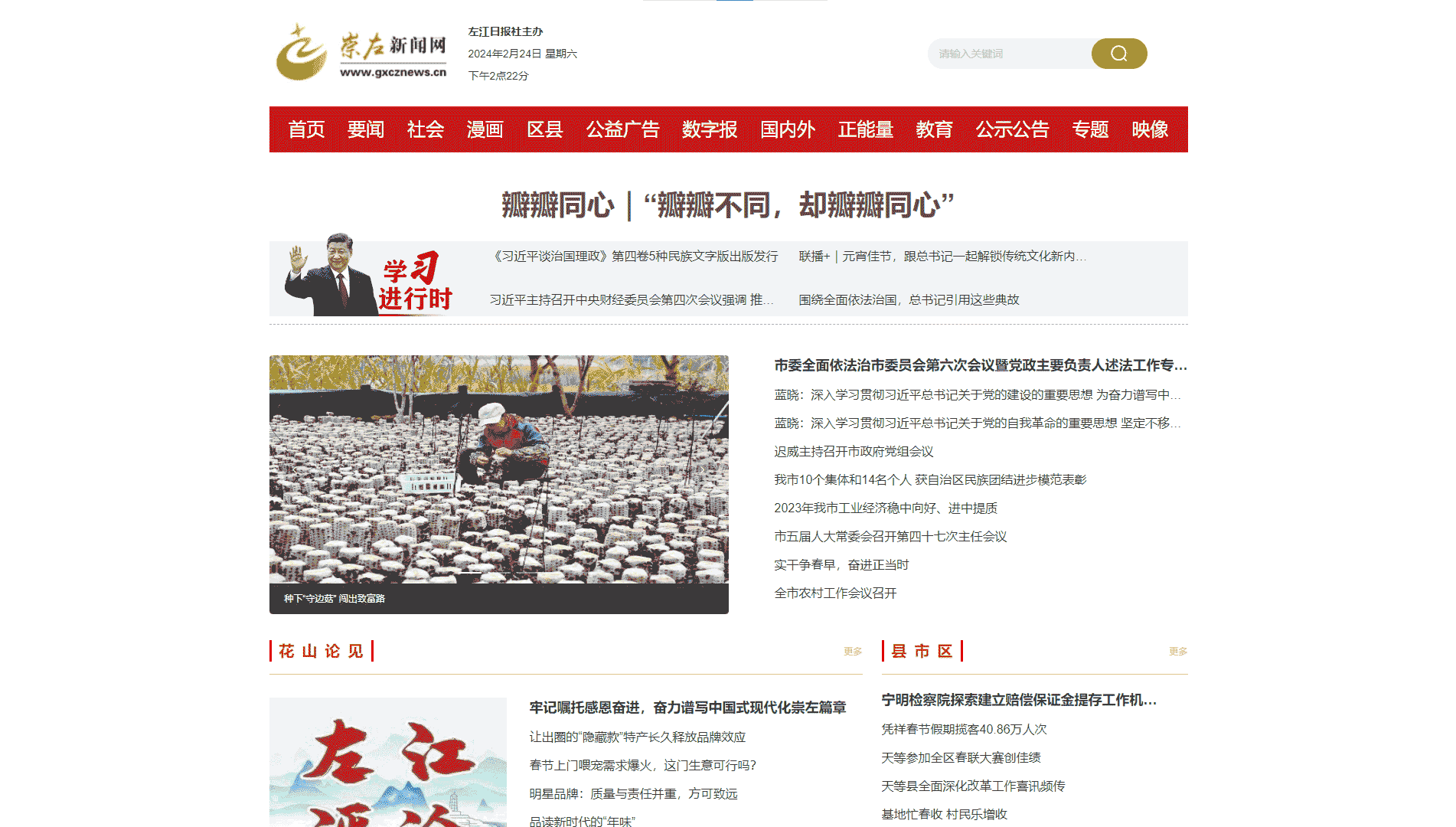 崇左新闻网网站首屏快照