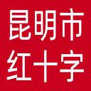 昆明市红十字会网站图标