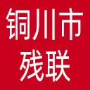 铜川市残联网站图标