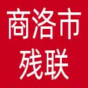商洛市残联网站图标