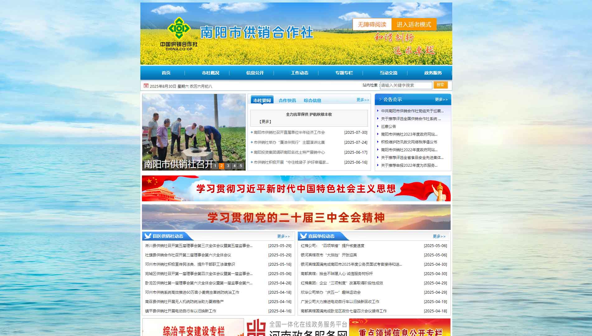 点击查看南阳市供销社网站首屏快照大图 南阳市供销社网站首屏快照