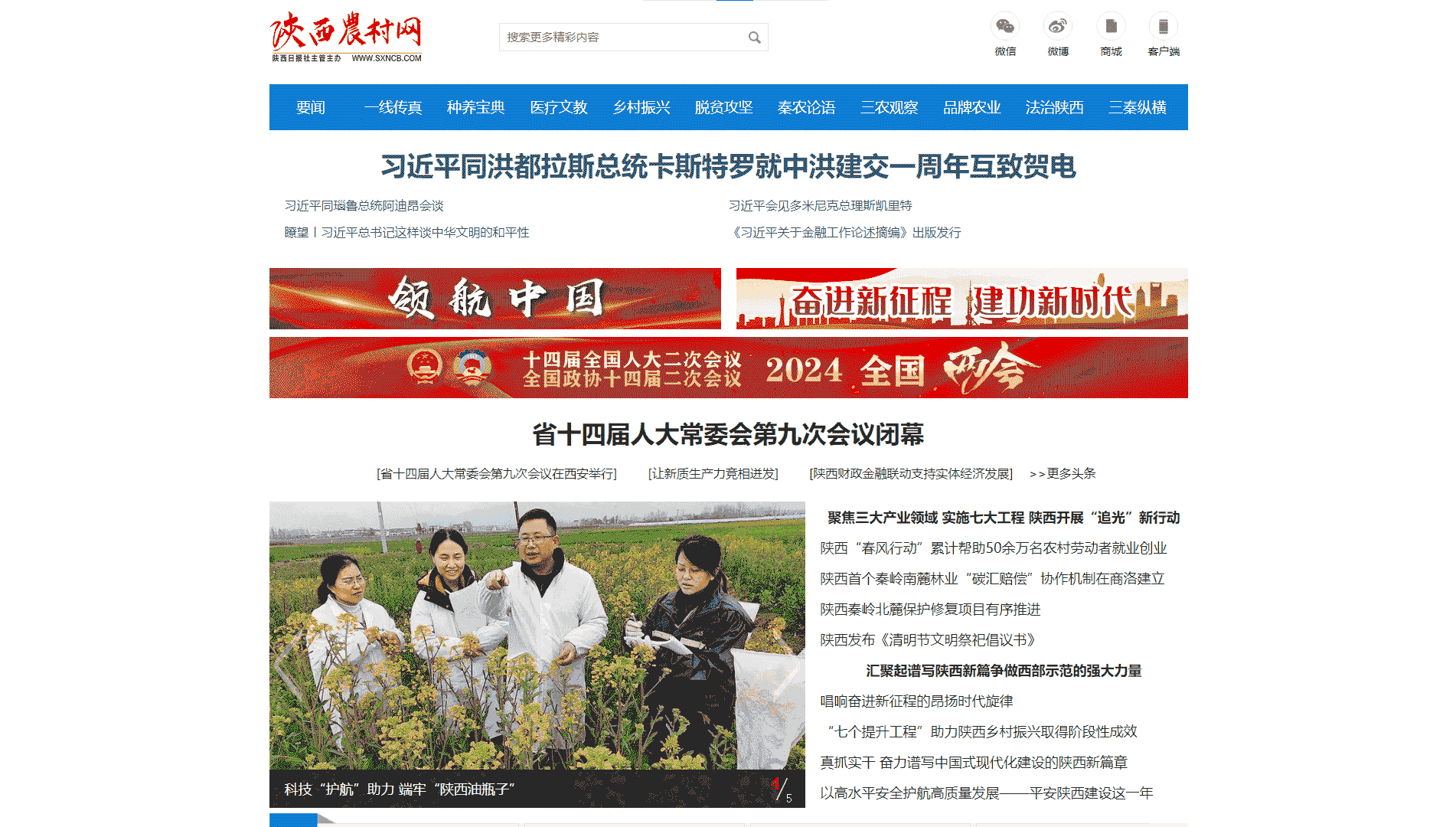 陕西农村网网站首屏快照