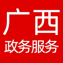 广西政务服务网网站图标