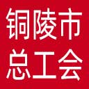 铜陵市总工会网站图标