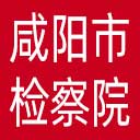 咸阳市检察院网站图标