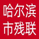 哈尔滨市残联网站图标