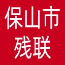 保山市残联网站图标
