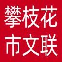 攀枝花市文联网站图标