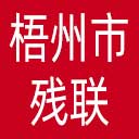 梧州市残联网站图标