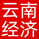 云南经济日报网站图标