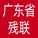广东省残联网站图标