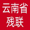 云南省残联网站图标