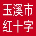 玉溪市红十字会网站图标