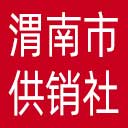 渭南市供销社网站图标