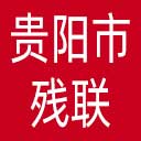 贵阳市残联网站图标