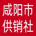 咸阳市供销社网站图标