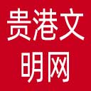 贵港文明网网站图标