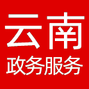 云南政务服务网网站图标