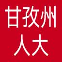 甘孜州人大网站图标