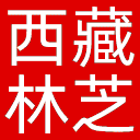 西藏林芝网网站图标