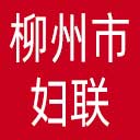 柳州市妇联网站图标