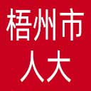 梧州市人大网站图标