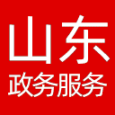 山东政务服务网网站图标