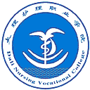 大理护理职业学院网站图标