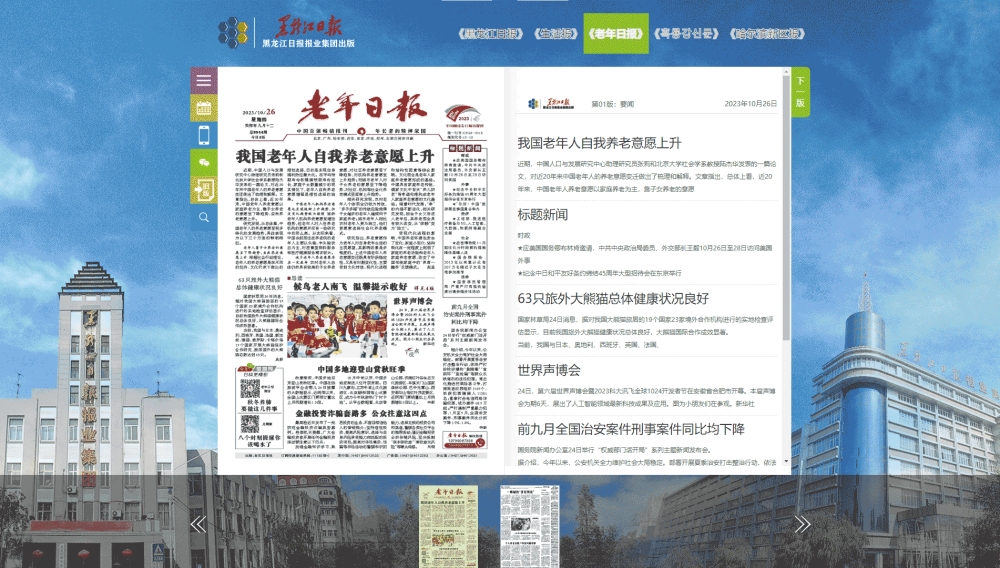 老年日报网站首屏快照