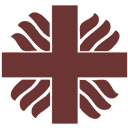 圣方济各大学网站图标