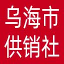 乌海市供销社网站图标