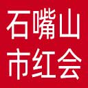 石嘴山市红十字会网站图标