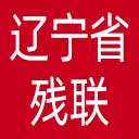 辽宁省残联网站图标
